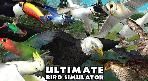 game pic for Ultimate bird simulator